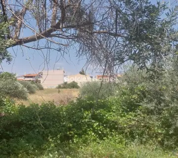 Residential 2100m<sup>2</sup> for sale photo 1