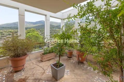 Maisonette Attached 300m<sup>2</sup> for sale photo 7