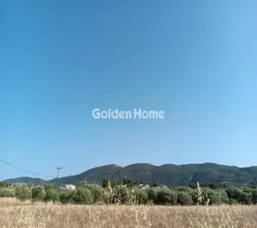Αγροτεμάχιο 11800τ.μ. προς πώληση φωτογραφία 1