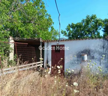 Αγροτεμάχιο 11800τ.μ. προς πώληση φωτογραφία 4