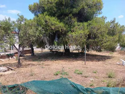 住宅 858m<sup>2</sup> for sale photo 4877630