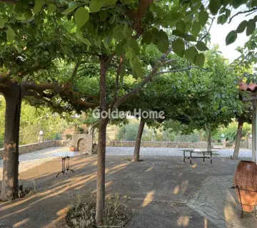 Μονοκατοικία 440τ.μ. προς πώληση φωτογραφία 4870187