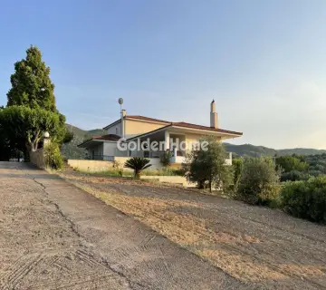 Μονοκατοικία 440τ.μ. προς πώληση φωτογραφία 4870188