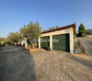 Μονοκατοικία 440τ.μ. προς πώληση φωτογραφία 4870188