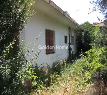 Μονοκατοικία 108τ.μ. προς πώληση φωτογραφία 4870691