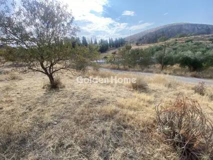 Residential 400m<sup>2</sup> for sale photo 4871537