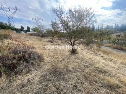 Residential 400m<sup>2</sup> for sale photo 4871538