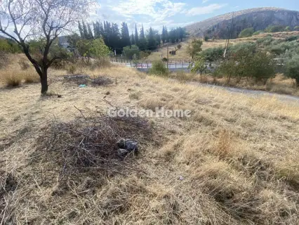 Residential 400m<sup>2</sup> for sale photo 4871540