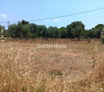 Οικιστικό 562τ.μ. προς πώληση φωτογραφία 4877223