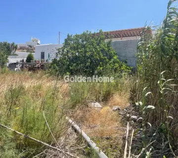 Professional Plot 950m<sup>2</sup> for sale photo 4873964
