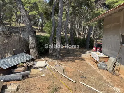 House 63m<sup>2</sup> for sale photo 5