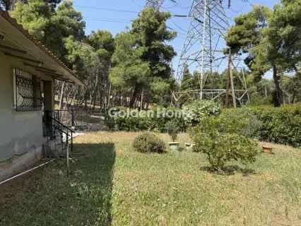 House 63m<sup>2</sup> for sale photo 15