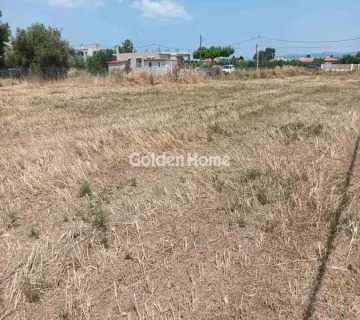 Οικιστικό 562τ.μ. προς πώληση φωτογραφία 4877222