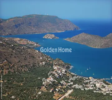 Golden Home Property Image
