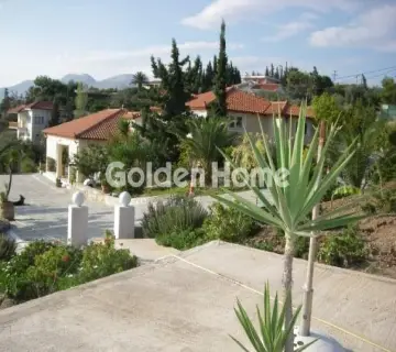 House 450m<sup>2</sup> for sale photo 1