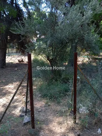 Residential 500m<sup>2</sup> for sale photo 2