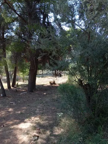Residential 500m<sup>2</sup> for sale photo 4