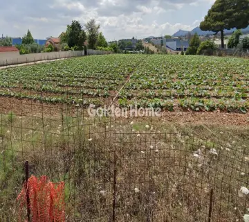 Επαγγελ. Οικόπεδο 4000τ.μ. προς πώληση φωτογραφία 4894968