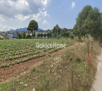 Επαγγελ. Οικόπεδο 4000τ.μ. προς πώληση φωτογραφία 4894968