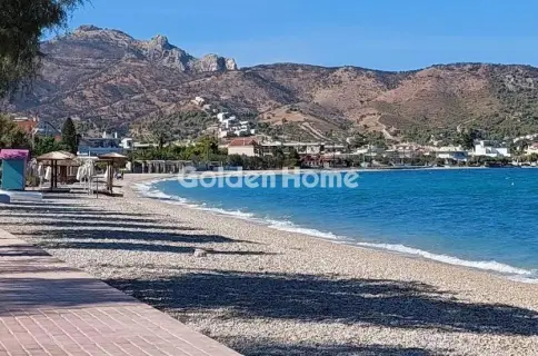住宅 4143m<sup>2</sup> for sale photo 3