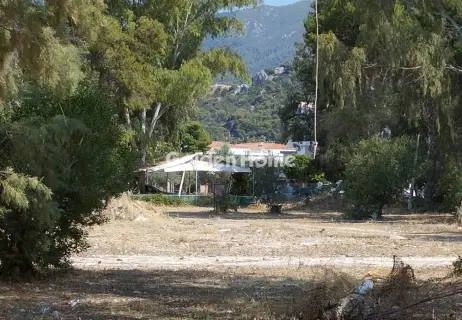 Professional Plot 13000m<sup>2</sup> for sale photo 3