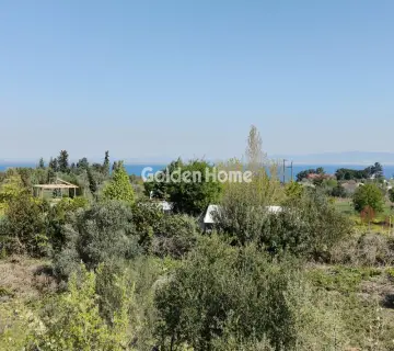 独立复式小屋 330m<sup>2</sup> for sale photo 2