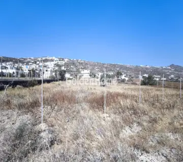 Residential 500m<sup>2</sup> for sale photo 5