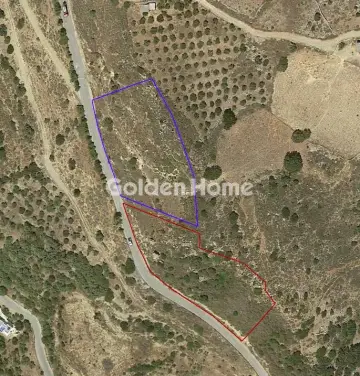 Αγροτεμάχιο 4268τ.μ. προς πώληση φωτογραφία 5610758