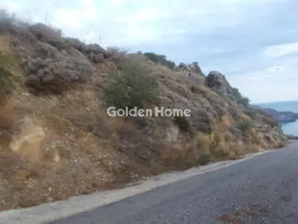 Αγροτεμάχιο 4268τ.μ. προς πώληση φωτογραφία 5610759