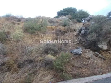 Αγροτεμάχιο 4268τ.μ. προς πώληση φωτογραφία 5610761