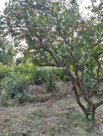 Οικιστικό 133τ.μ. προς πώληση φωτογραφία 4882339