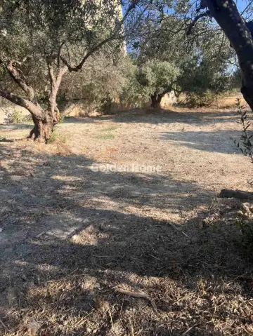 Residential 1004m<sup>2</sup> for sale photo 2
