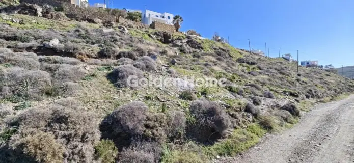 Golden Home Property Image