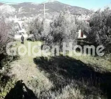 Residential 330m<sup>2</sup> for sale photo 4884844