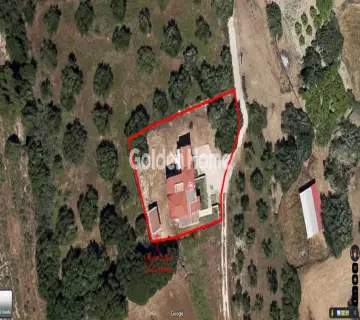 Golden Home Property Image