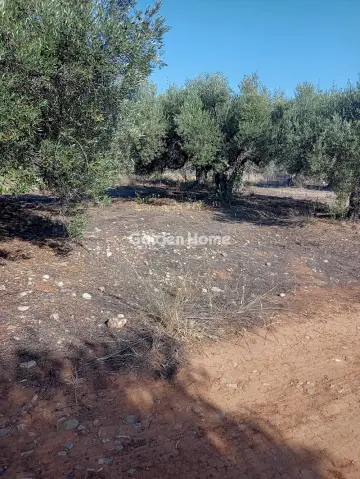 Residential 421m<sup>2</sup> for sale photo 3