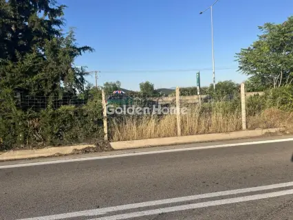Industrial 2000m<sup>2</sup> for sale photo 5533858