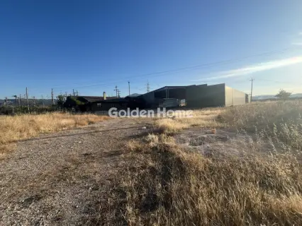 Industrial 2000m<sup>2</sup> for sale photo 5533851