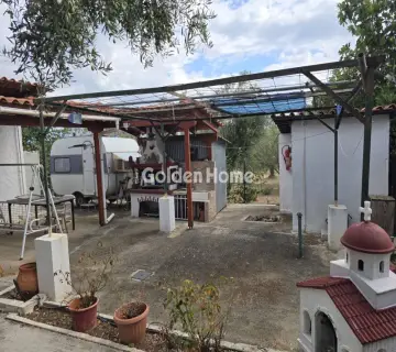 Golden Home Property Image