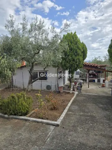 Residence complex 132m<sup>2</sup> for sale photo 22