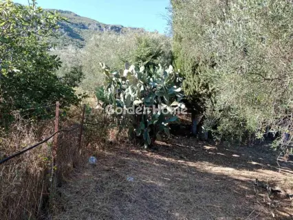 住宅 2380m<sup>2</sup> for sale photo 8