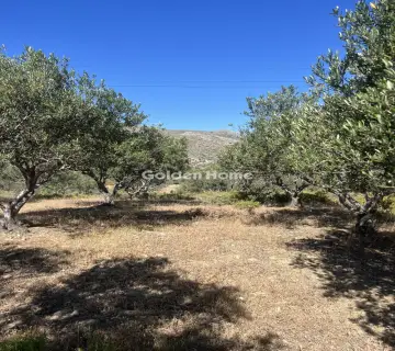 Professional Plot 8611m<sup>2</sup> for sale photo 4891546