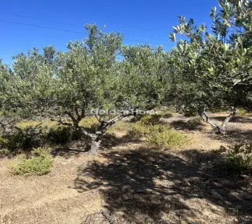 Professional Plot 8611m<sup>2</sup> for sale photo 4891547