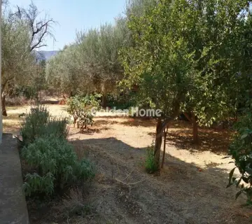 Μονοκατοικία 315τ.μ. προς πώληση φωτογραφία 9