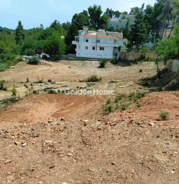 Golden Home Property Image