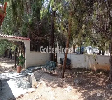 Independent Building 308m<sup>2</sup> for rent photo 4896202