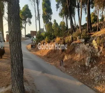 Golden Home Property Image