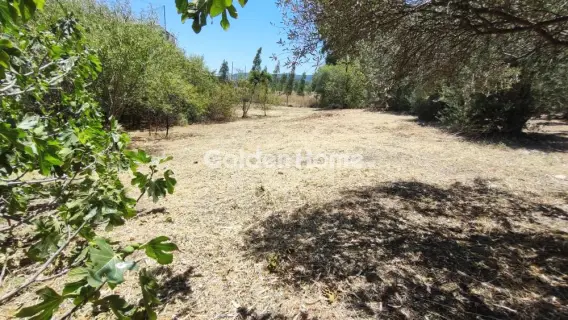 Parcel 1800m<sup>2</sup> for sale photo 4902717
