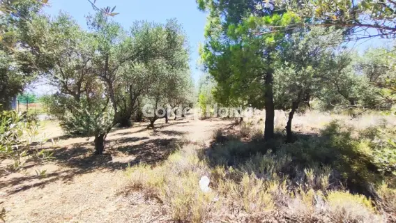 Parcel 1800m<sup>2</sup> for sale photo 4902717