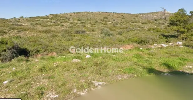 Residential 491m<sup>2</sup> for sale photo 5387117